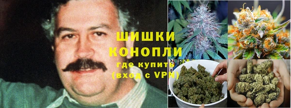соль ск Алексеевка