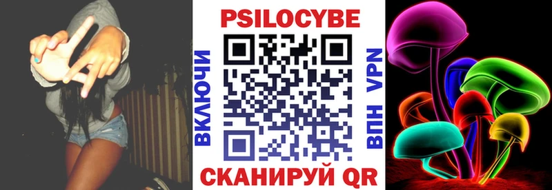 Псилоцибиновые грибы Psilocybe  купить   hydra ССЫЛКА  Лысково 