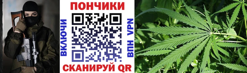 Конопля планчик  Лысково 